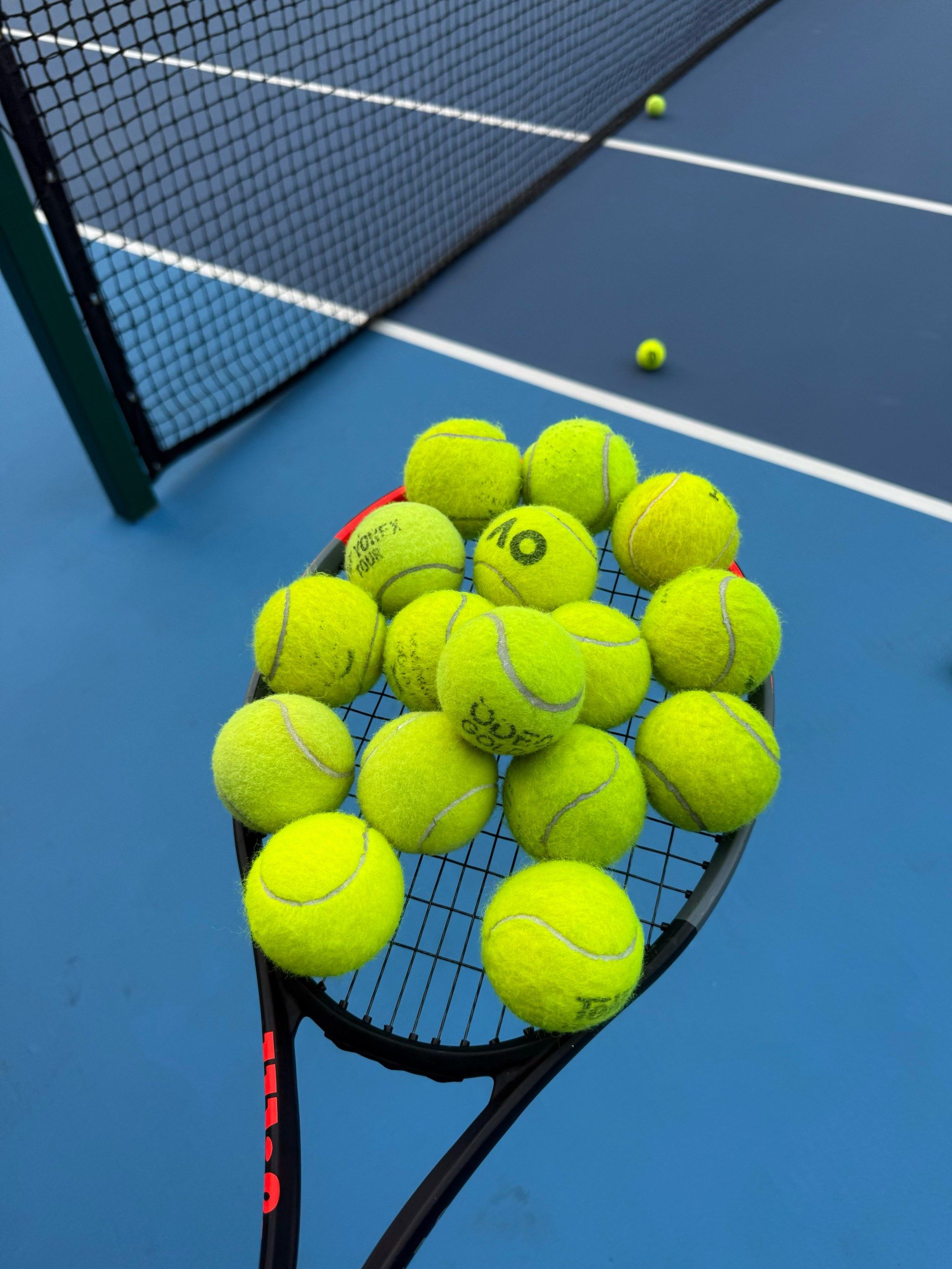 主播互蹭热 主播互蹭热