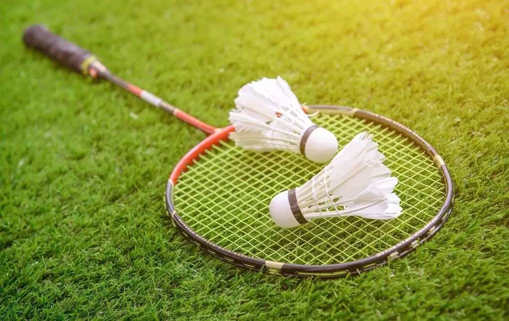 个体表达 个体表达